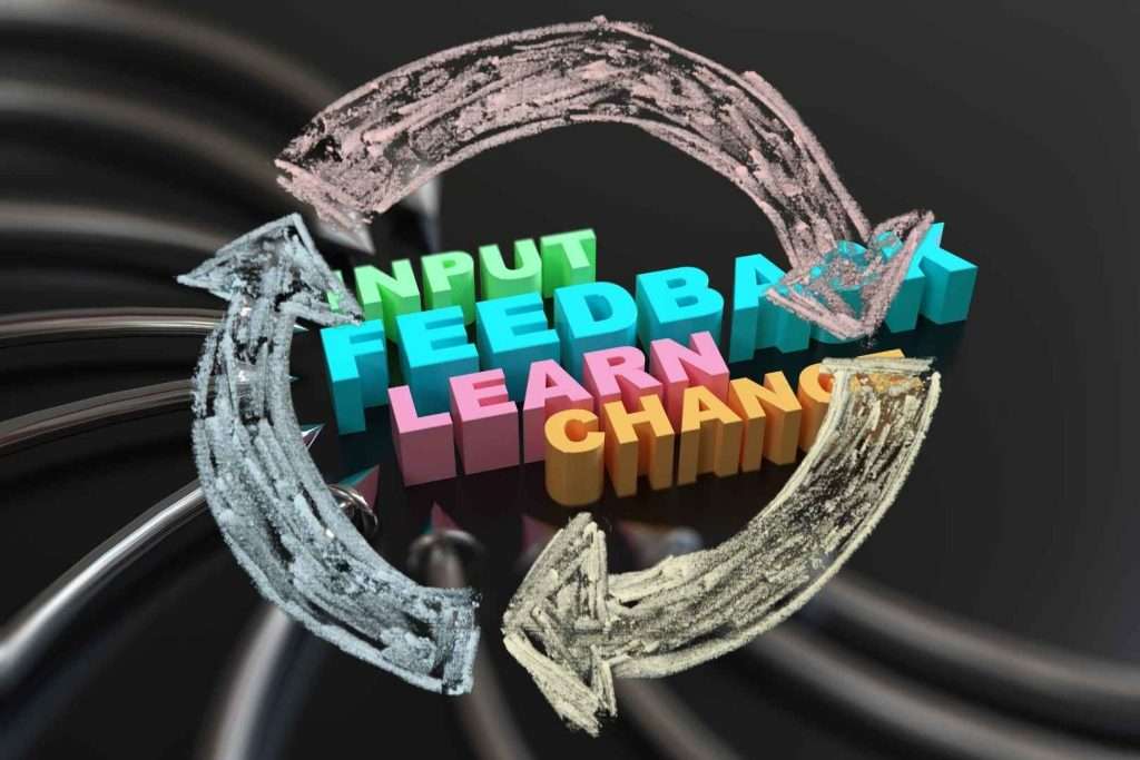 Learning Culture: Cycle of learning and feedback process